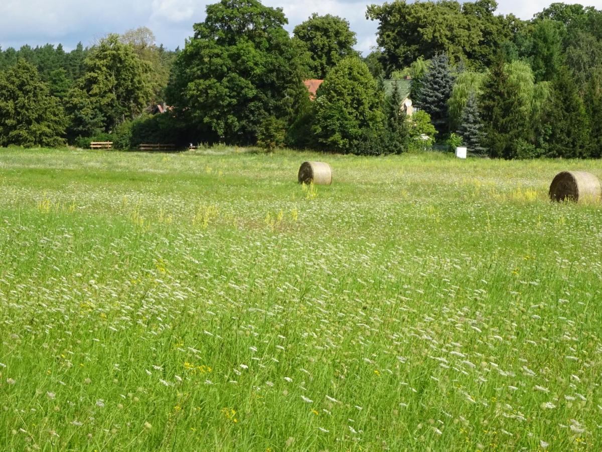 Ferienanlage Waschbär Country Templin Exteriör bild