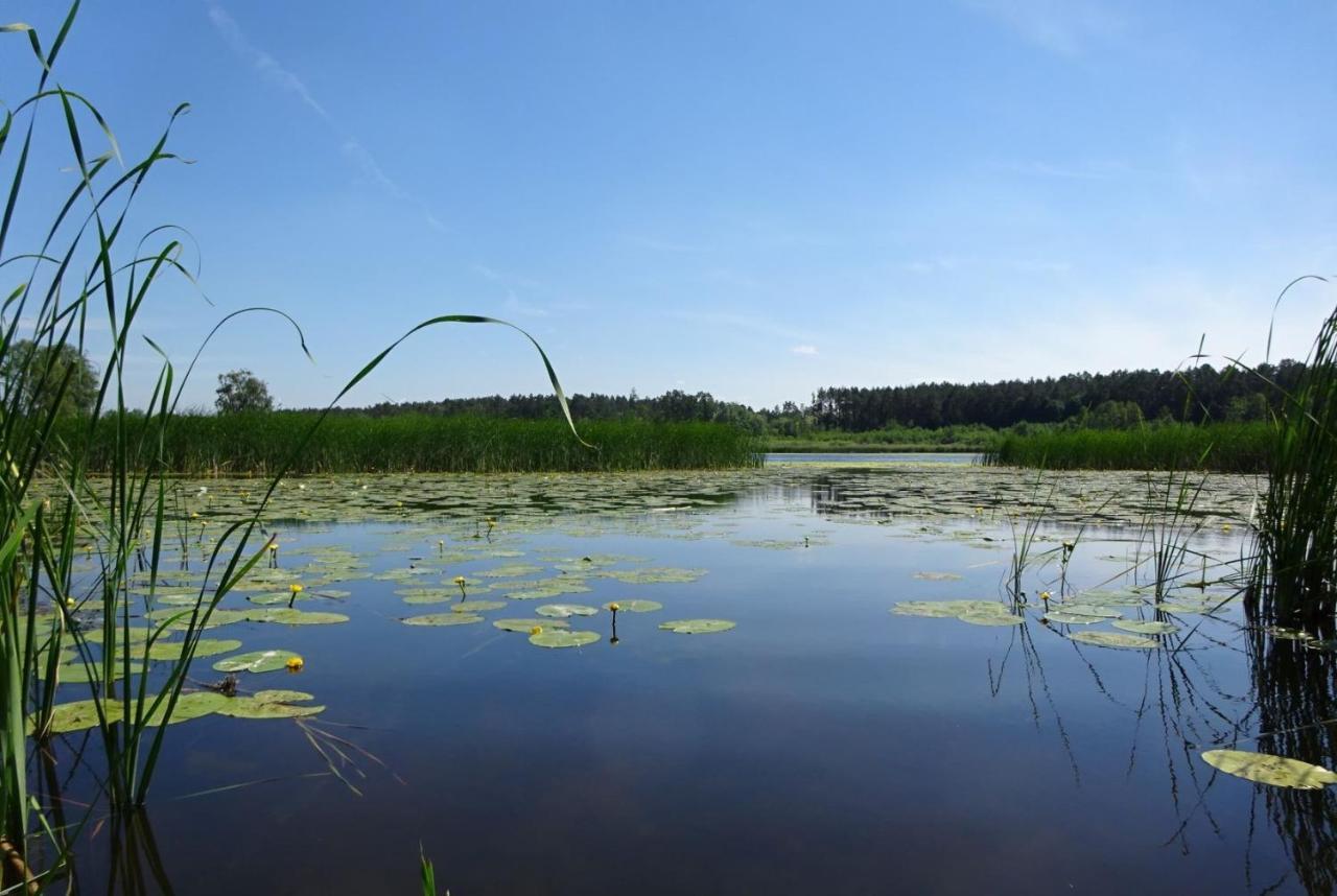 Ferienanlage Waschbär Country Templin Exteriör bild
