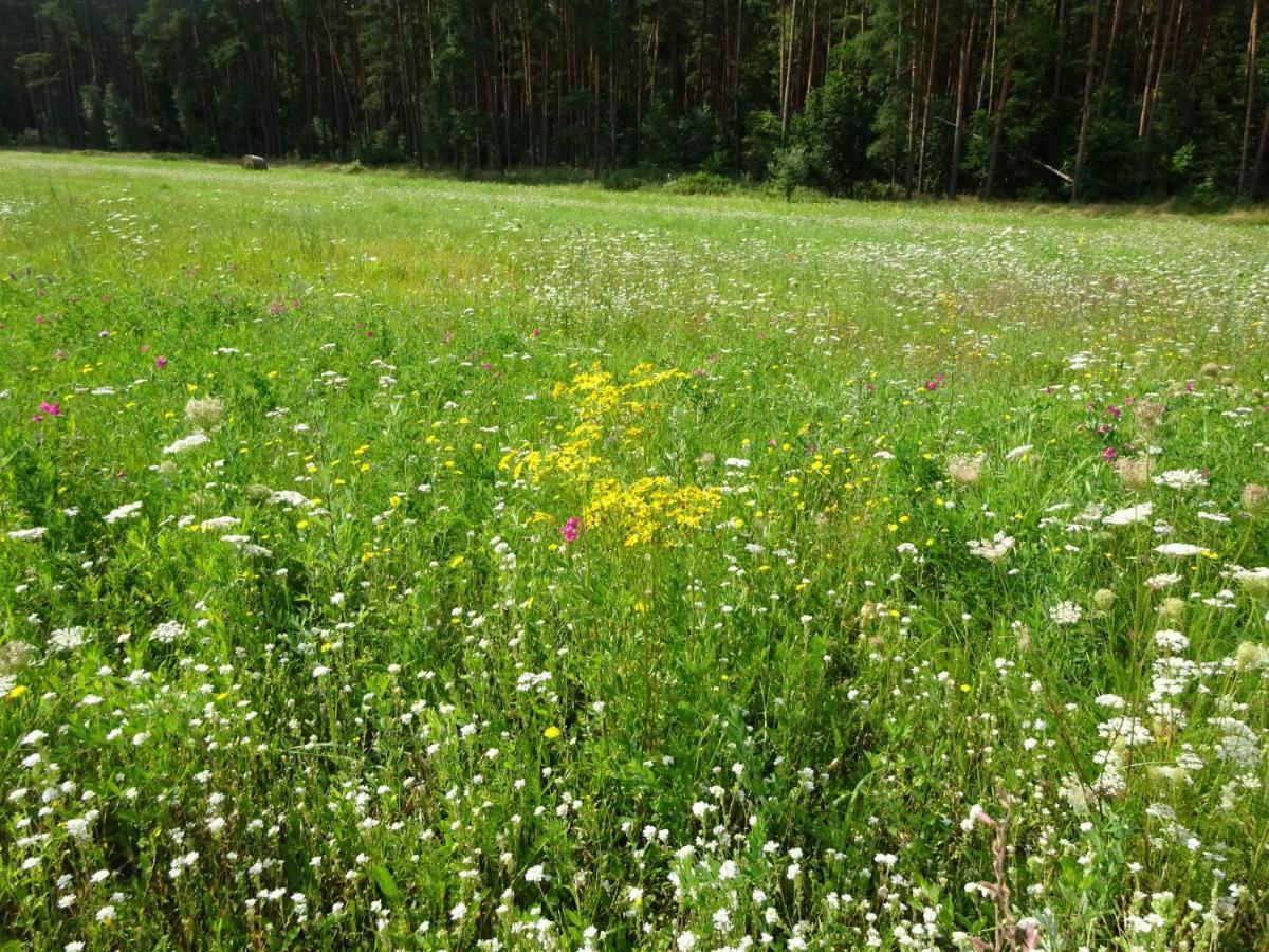 Ferienanlage Waschbär Country Templin Exteriör bild
