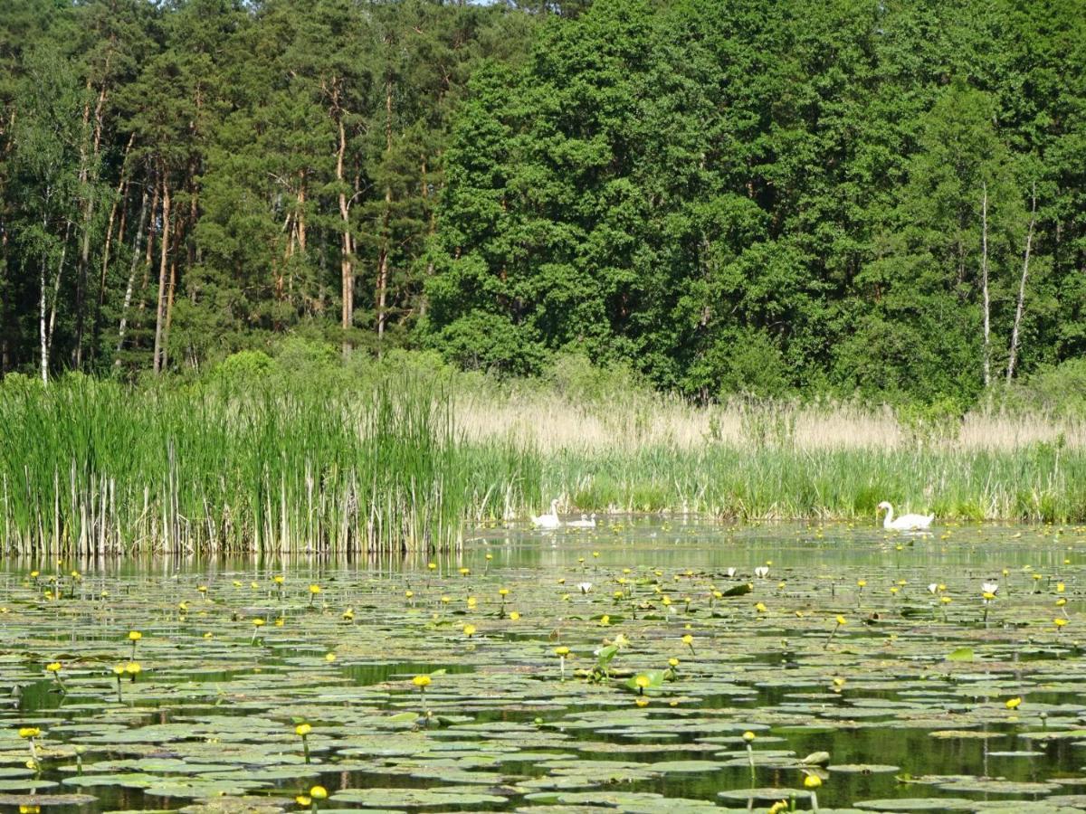 Ferienanlage Waschbär Country Templin Exteriör bild