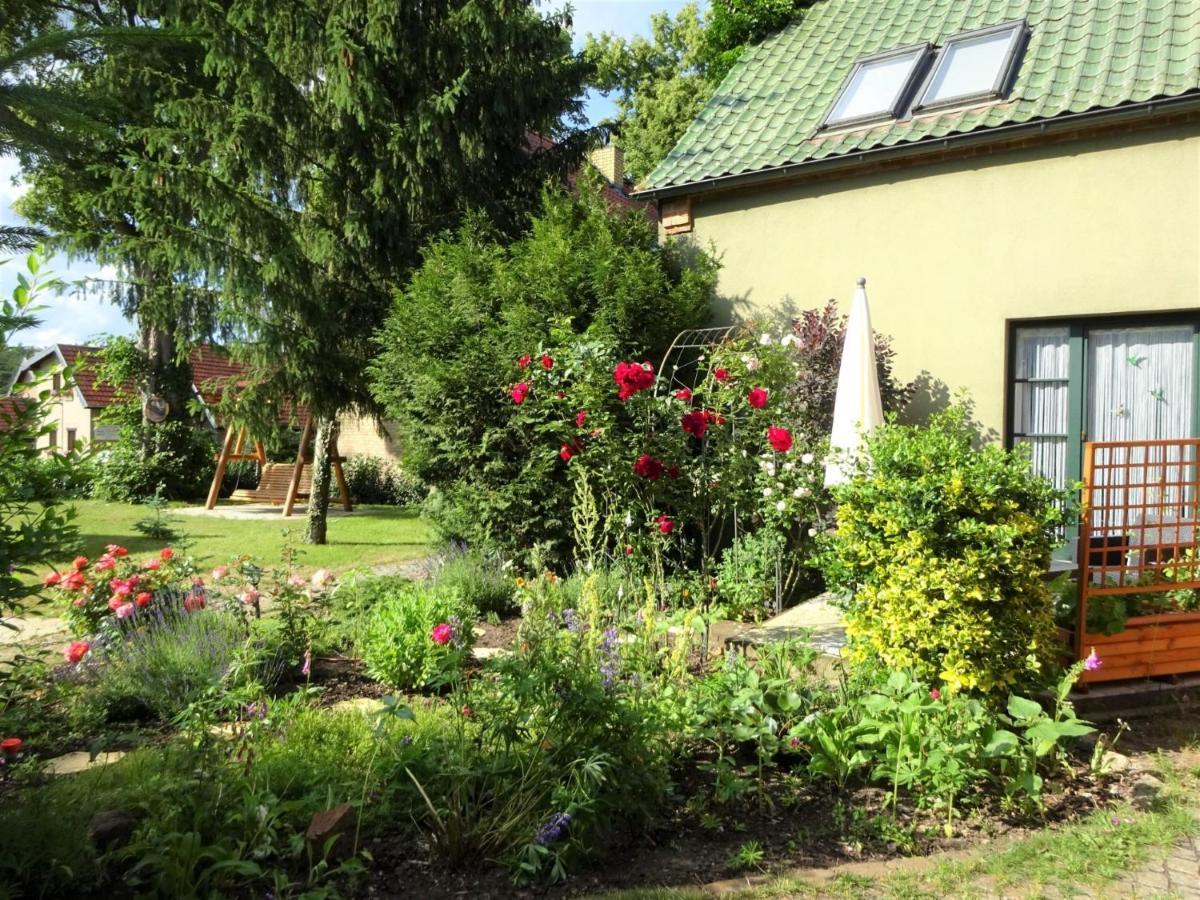Ferienanlage Waschbär Country Templin Exteriör bild