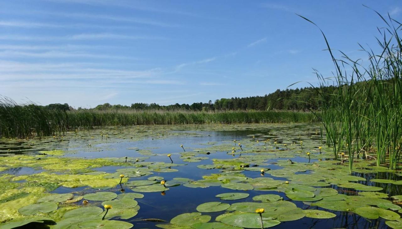 Ferienanlage Waschbär Country Templin Exteriör bild