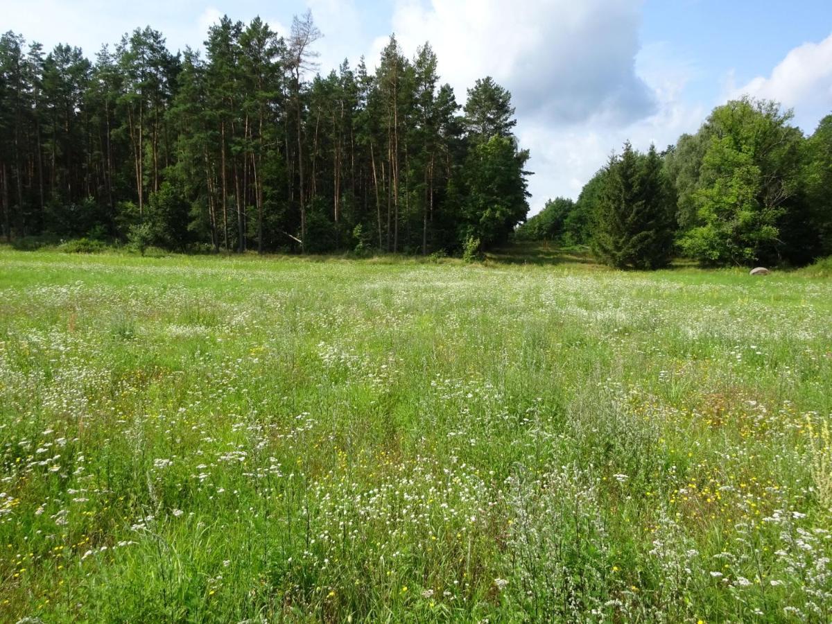 Ferienanlage Waschbär Country Templin Exteriör bild
